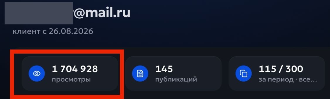 Статистика пользователя сервиса