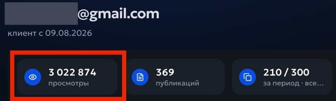 Статистика пользователя сервиса
