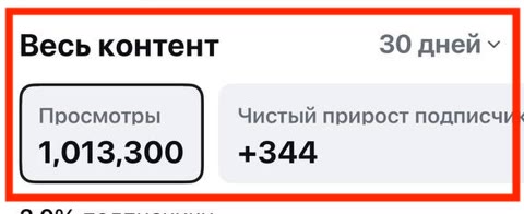 Статистика аккаунта Бориса: 1 013 300 просмотров и 344 новых подписчика за 30 дней